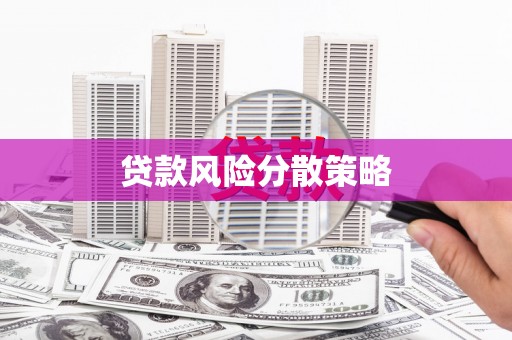 宁县贷款风险分散策略