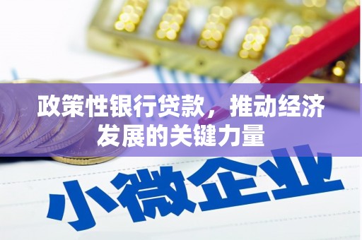 宁县政策性银行贷款，推动经济发展的关键力量