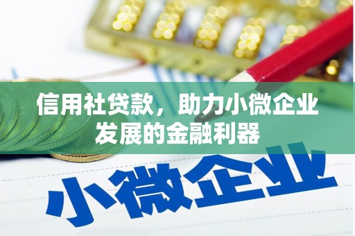 宁县信用社贷款，助力小微企业发展的金融利器