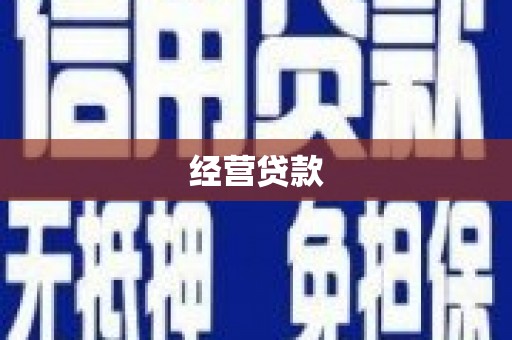 宁县经营贷款