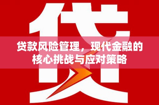 宁县贷款风险管理，现代金融的核心挑战与应对策略