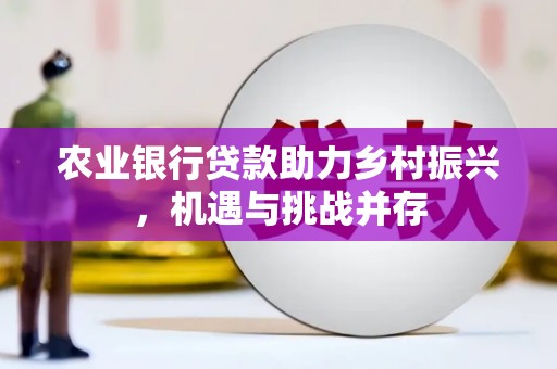 宁县农业银行贷款助力乡村振兴，机遇与挑战并存