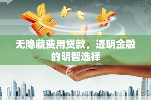 宁县无隐藏费用贷款，透明金融的明智选择