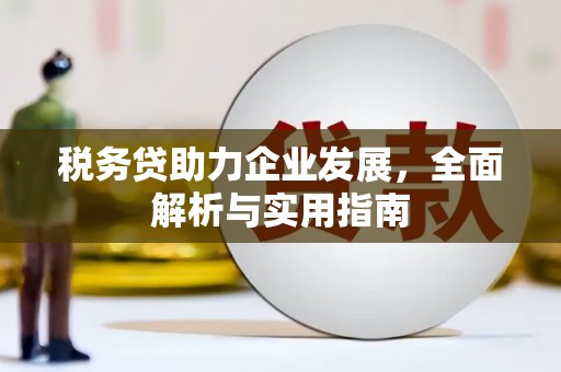 宁县税务贷助力企业发展，全面解析与实用指南