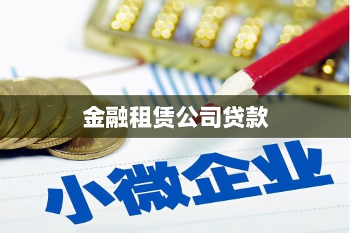 宁县金融租赁公司贷款