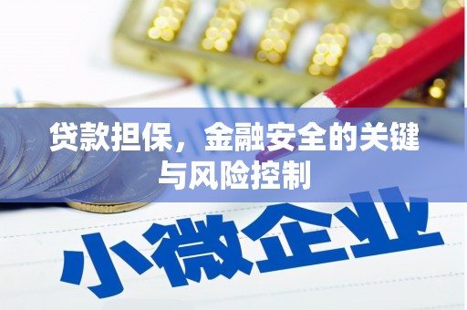 宁县贷款担保，金融安全的关键与风险控制