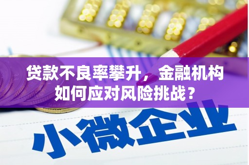 宁县贷款不良率攀升，金融机构如何应对风险挑战？