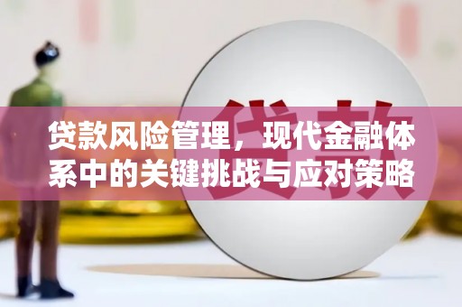 宁县贷款风险管理，现代金融体系中的关键挑战与应对策略