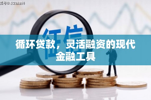 宁县循环贷款，灵活融资的现代金融工具