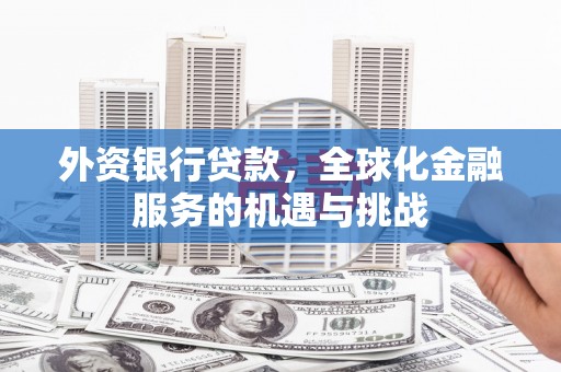 宁县外资银行贷款，全球化金融服务的机遇与挑战