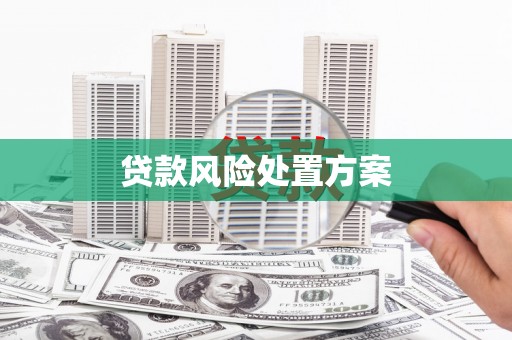 宁县贷款风险处置方案