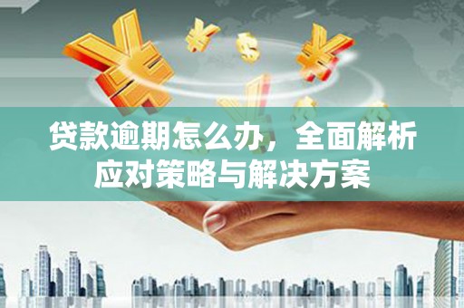 宁县贷款逾期怎么办，全面解析应对策略与解决方案