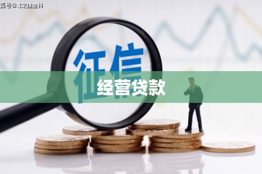 宁县经营贷款
