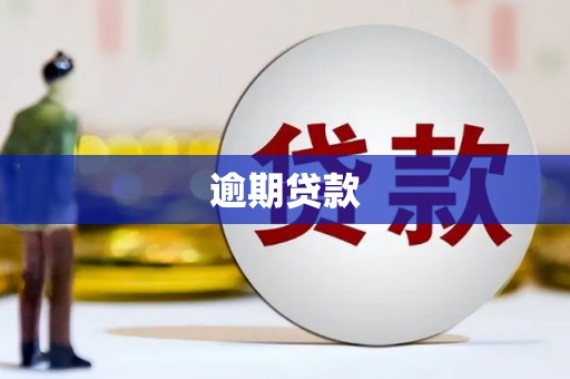 宁县逾期贷款